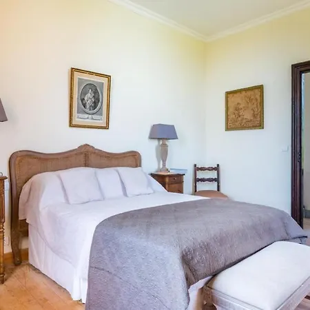 Un Mix Dei Pezzi Migliori Di Un Castello E Una Villa *